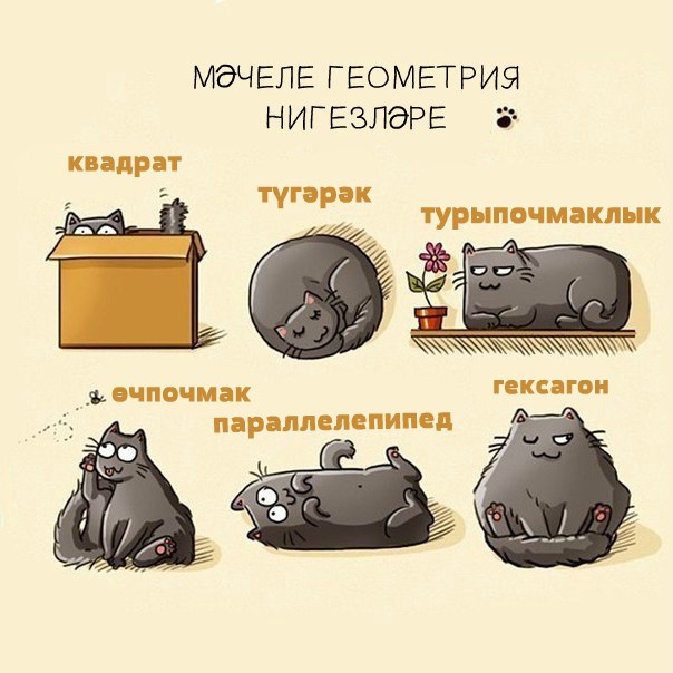 TGm0zSiKNEQ.jpg