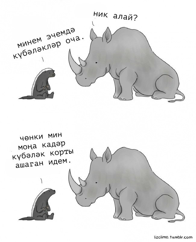 eXwEJsHYNTA.jpg