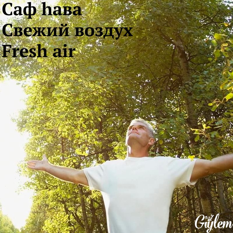 4B_FZJWvjA0.jpg