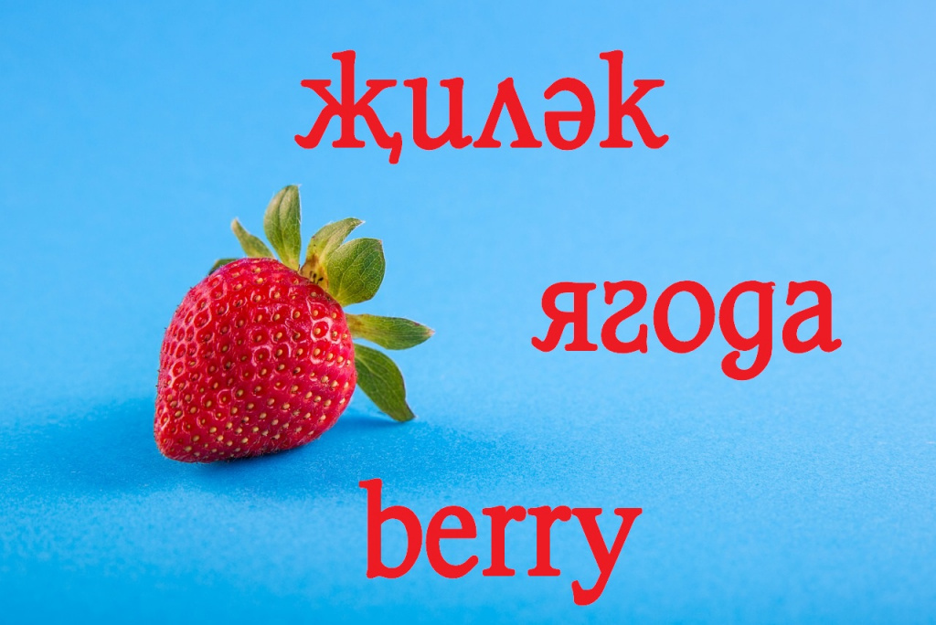 жилэк.jpg