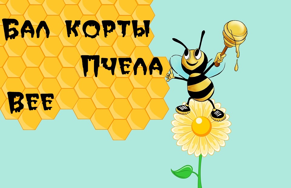 пчела.jpeg