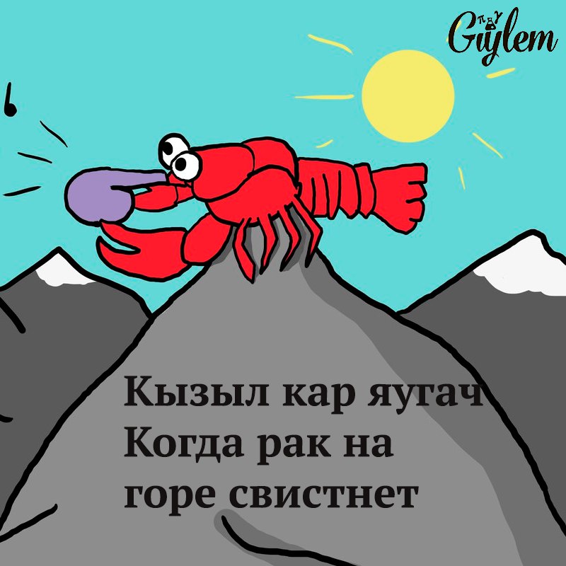 s6LZDZNHjIQ.jpg