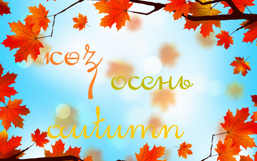 autumn-leaves-maple-listya-2322.jpg